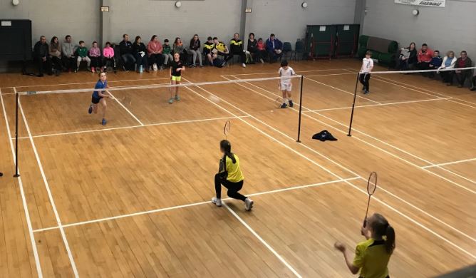 Carlow Badminton Courts